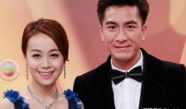 马国明最新爆料,揭秘演艺圈不为人知的幕后真相